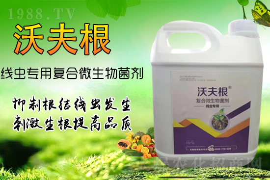 ���Y(ji��)��(xi��n)�x(ch��ng)��Ⱦ������������������������Ч����!