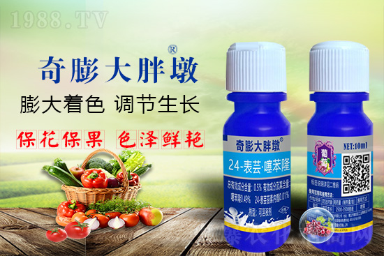     ������Ҫ�߮a(ch��n)��������P(gu��n)�I��������(sh��)�������D(zhu��n)ɫ�á��u��������ڵĮa(ch��n)����Ʒ�|(zh��)���С������S��Ĺ��r(n��ng)���r(n��ng)������ӳ�Լҵ���������ס���������������������������������ܛ���չ�����r�l���l(f��)����