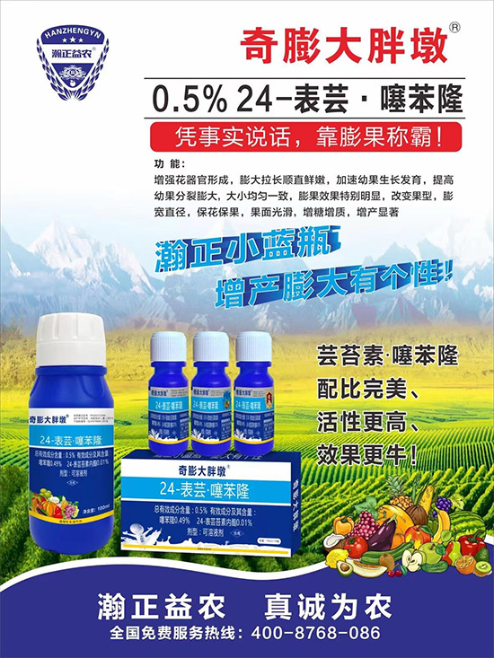     ������Ҫ�߮a(ch��n)��������P(gu��n)�I��������(sh��)�������D(zhu��n)ɫ�����u��������ڵĮa(ch��n)����Ʒ�|(zh��)�����������S��Ĺ��r(n��ng)���r(n��ng)������ӳ�Լҵ���������ס���������������������������������ܛ���չ�����r�l���l(f��)����