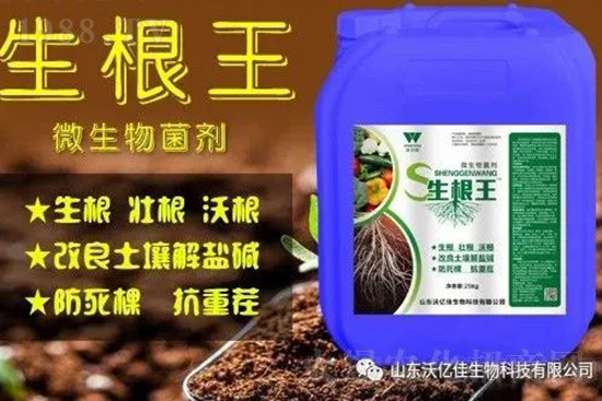 �����ز硢�������Ç���ɶԭ������θ����@Щ�y�}��