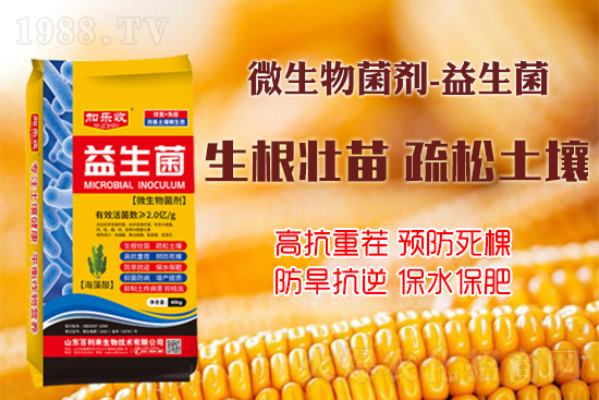 ������������Ѹ����L�ݸ�ïʢ���W(xu��)���@Щ�°빦����