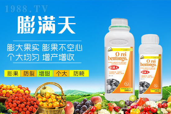 果實(shí)轉(zhuǎn)色膨果“新武器”！膨大防裂賣價(jià)高！提前上市7-12天！