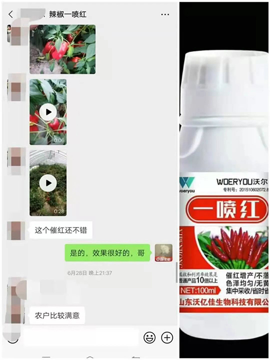 ���t�����95%���߼t�����~�����뷭�׷�����������һ���t��