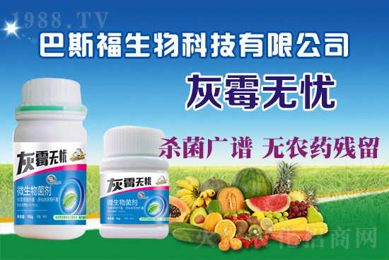 葡萄灰霉病危害嚴(yán)重！葡萄灰霉病如何防治？