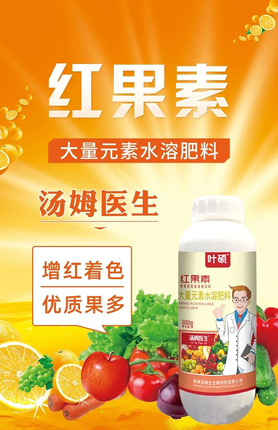 �t���ء�ֻ���D(zhu��n)ɫ�������D(zhu��n)ɫ�졢�����߼t���ó