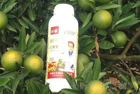 �t���ء�ֻ���D(zhu��n)ɫ�������D(zhu��n)ɫ�����ߣ��߼t���ó���