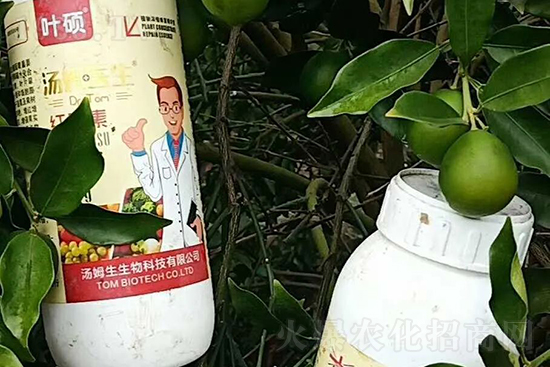 �t���ء�ֻ���D(zhu��n)ɫ�������D(zhu��n)ɫ�졢�����߼t���ó���