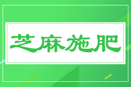 ֥��ʩ��