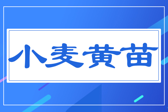 С���S��