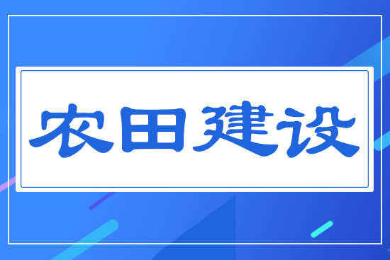 �r�ｨ�O