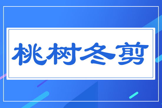 �Ҙ䶬��