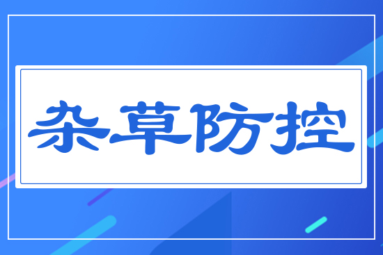 �s�ݷ���
