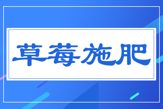 ��ݮʩ��