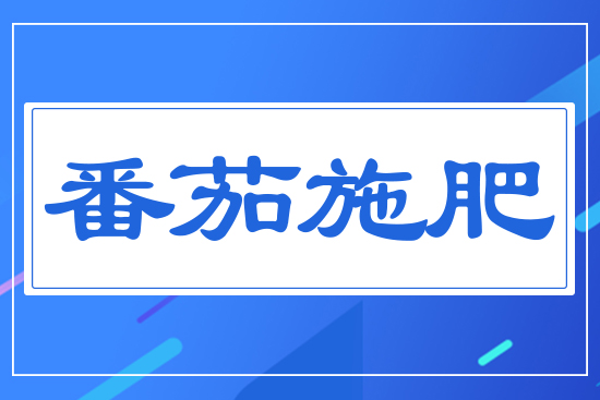����ʩ��