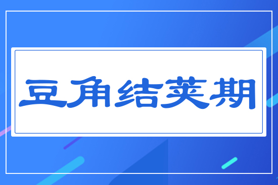 ���ǽY(ji��)�v��