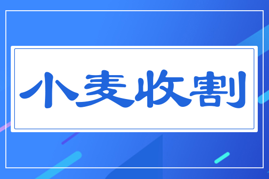 С��?zh��n)ո? style=