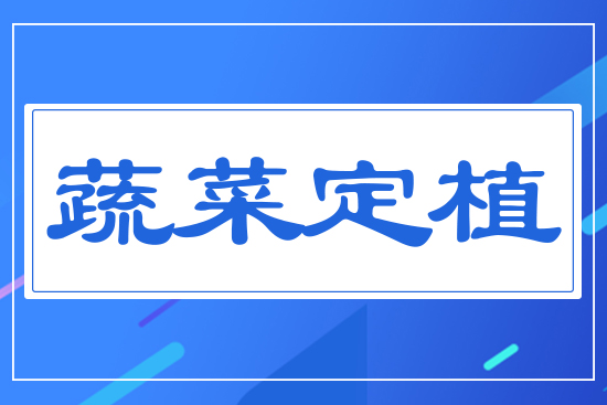 �߲˶�ֲ