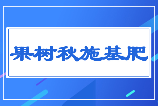������ʩ����