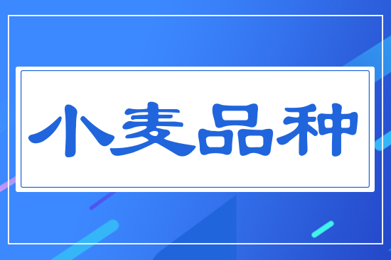 С��Ʒ�N