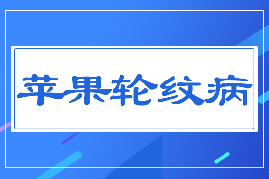 �O(p��ng)��݆�y��