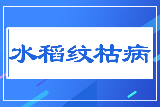 ˮ���y�ݲ�