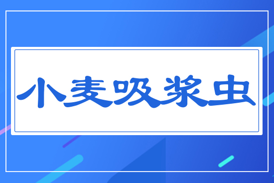 С�����{�x(ch��ng)