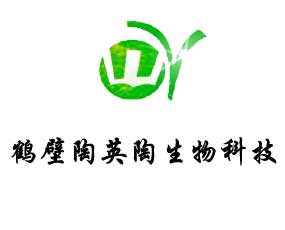 �Q����Ӣ������Ƽ����޹�˾