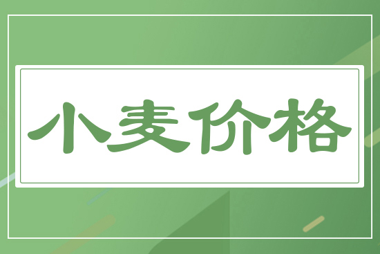 麥價(jià)穩(wěn)中偏強(qiáng)，11月27日國(guó)內(nèi)小麥價(jià)格行情日?qǐng)?bào)
