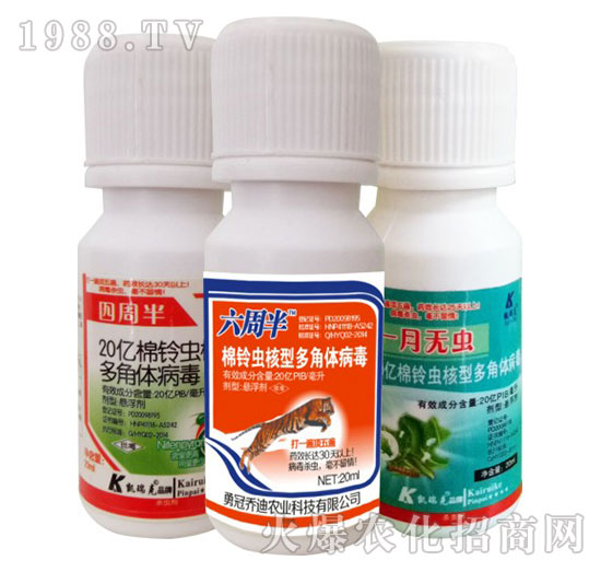 20�|����x(ch��ng)���Ͷ���w����-���ܰ�+���ܰ�+һ�o(w��)�x(ch��ng)-�P���