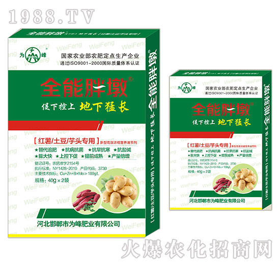 �t�������������^��(zhu��n)��-ȫ���ֶ�-���