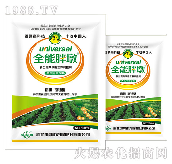 ��ë������-ȫ���ֶ�-���