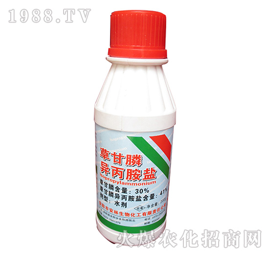 41%�ݸ�좮������}-����