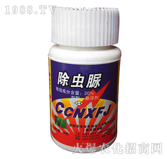 20%���x(ch��ng)��-����