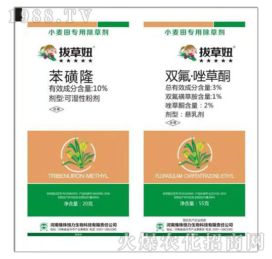 С���(zhu��n)�ó��݄�-�β��-ԥ�����