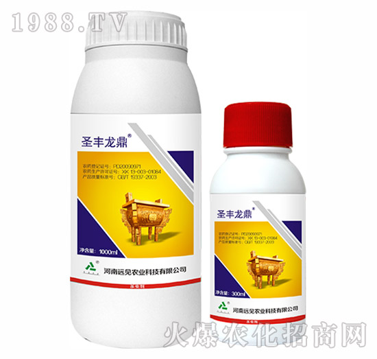 5%���S����-ʥ�S����-�h(yu��n)Ҋ(ji��n)�r(n��ng)�I(y��)