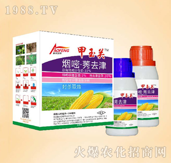 22%���ס�ݬȥ��-�����P-ͬ�S