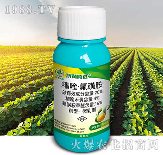 20%��ୡ����ǰ�-�x�S�v�_-�к����_