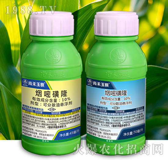 10%���׻�¡-�к���O-�к����_