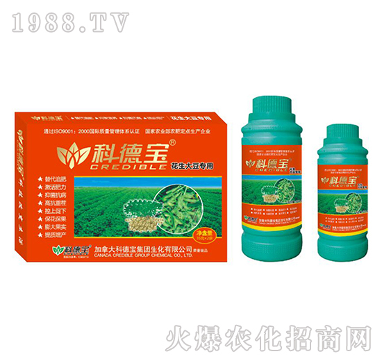 �����󶹌��àI�B(y��ng)���a�{�턩-�Ƶ�