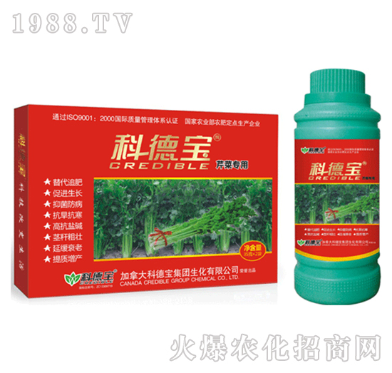 �Ƶ�-�۲ˌ���