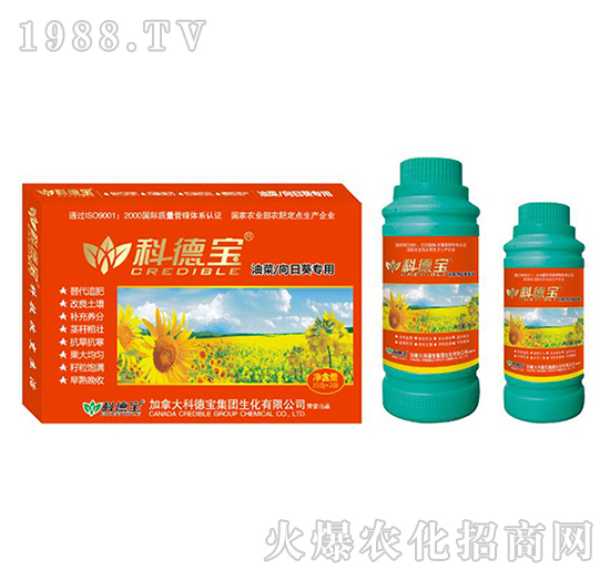 �Ͳˡ����տ����àI�B(y��ng)���a(ch��n)�{(di��o)�턩-�Ƶ�