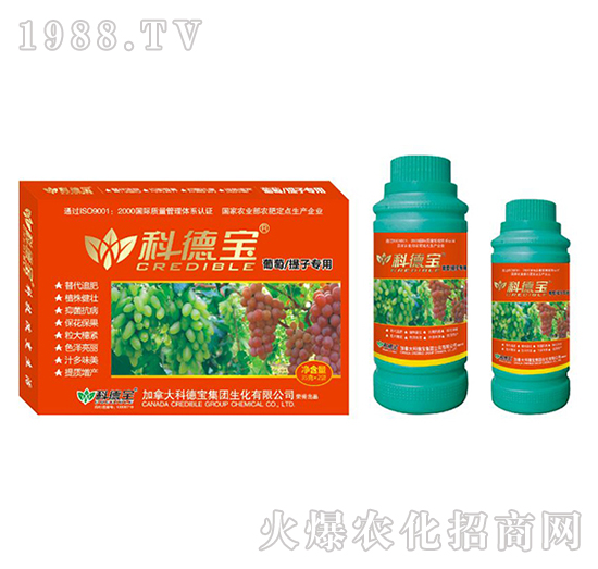 ���������ӌ��àI�B(y��ng)���a(ch��n)�{(di��o)�턩-�Ƶ�