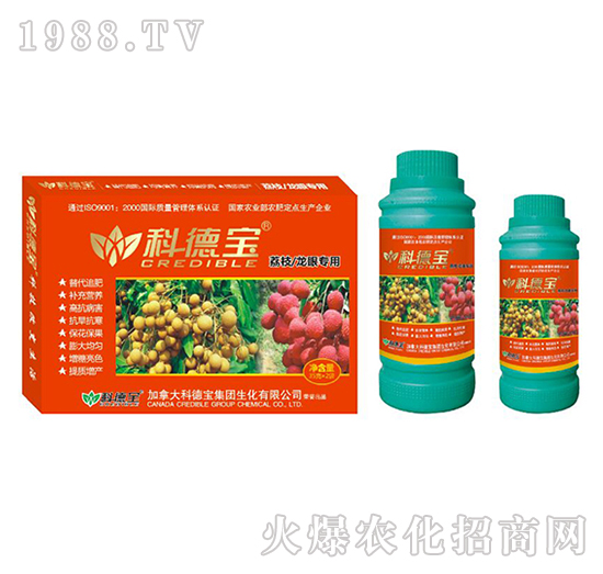 ��֦�����ی��àI�B(y��ng)���a(ch��n)�{(di��o)�턩-�Ƶ�