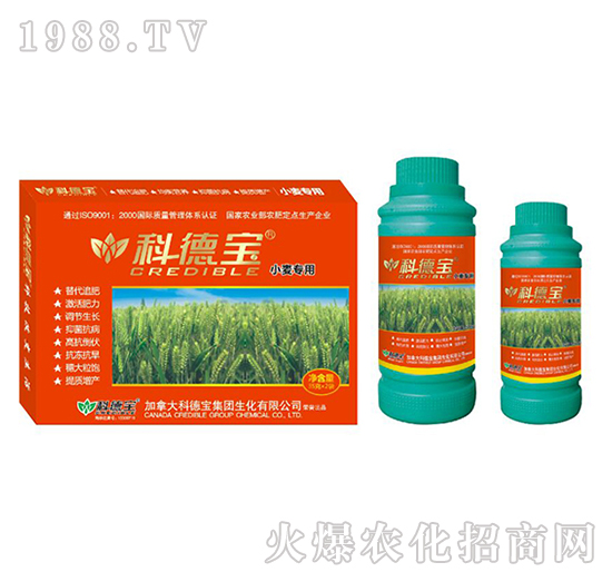 С�����àI�B(y��ng)���a�{�턩-�Ƶ�