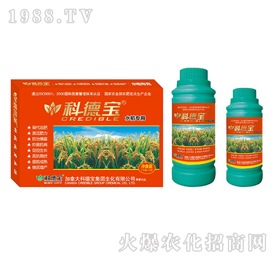 ˮ����(zhu��n)�àI(y��ng)�B(y��ng)���a(ch��n)�{(di��o)�턩-�Ƶ�