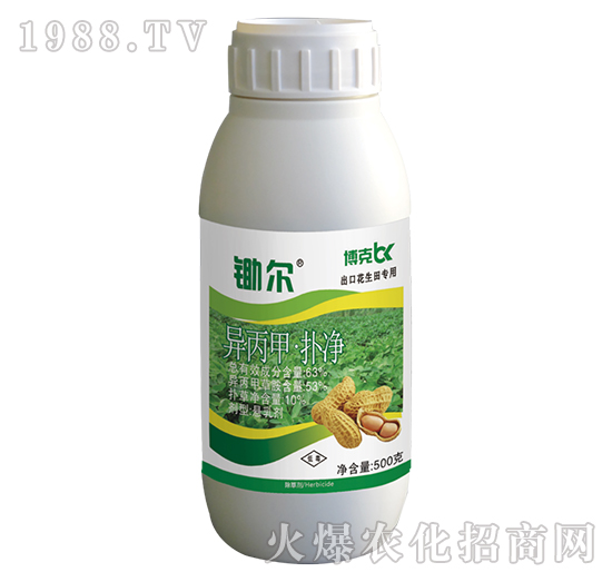 63%�����ס����-���˰ل�