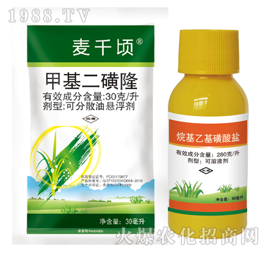 �׻�����¡+����һ������}-���˰ل�