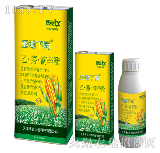 71%�ҡ�ݬ��������-���z��-���˰ل�