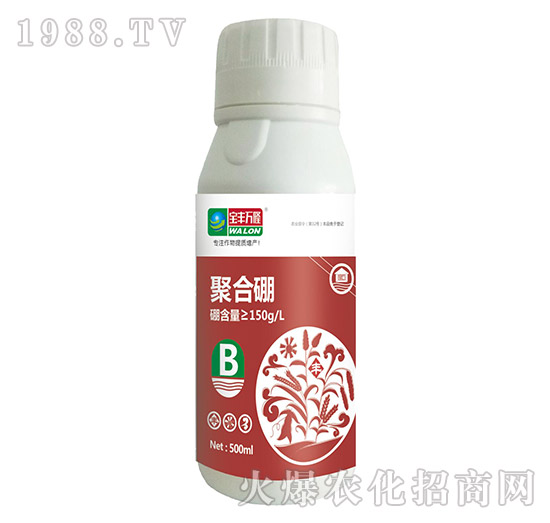 �ۺ���-���S�f(w��n)¡