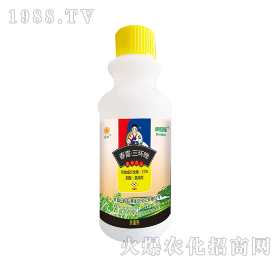 22%���ס����h(hu��n)��-�n����-�n�r(n��ng)����